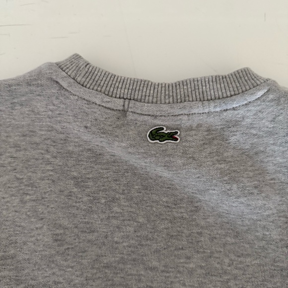 Lacoste Gray Sweatshirt with Crocodile Graphic and skirt size 6 - Picture 10 of 13